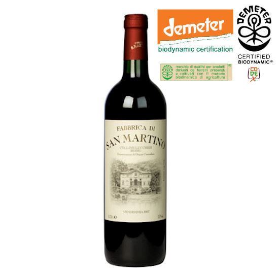 Immagine di DOC Colline Lucchesi Rosso Riserva- Fabbrica di S.Martino